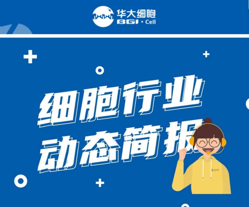 屏幕截图 2025-03-11 160707