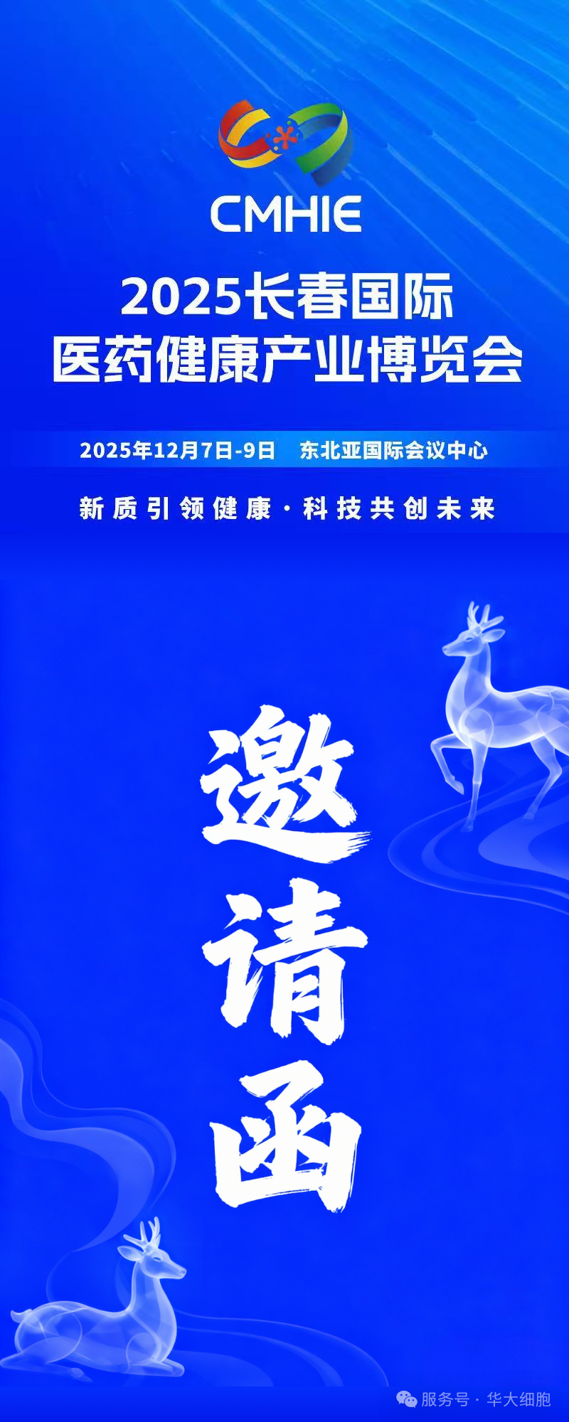 e963369c347cfae73a84e13e9f736b12